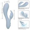 Calexotics - Contour Kali Bleu